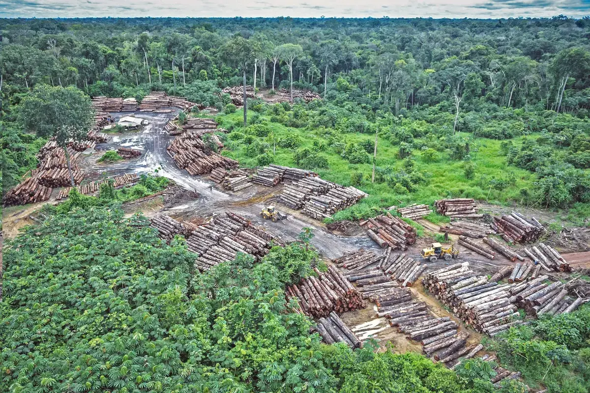 LE GABON POSSEDE DES MILLIONS D’HECTARES D’ECOSYSTEMES FORESTIERS BIEN PRESERVES