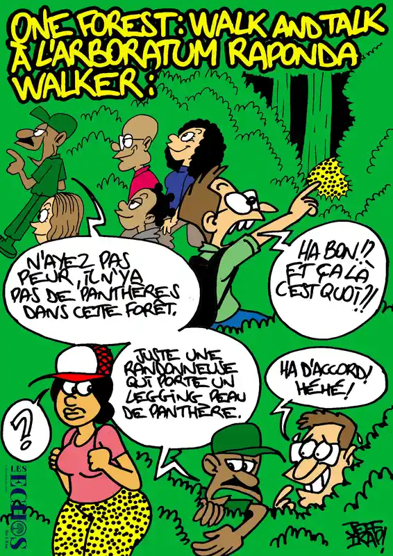Image du jour