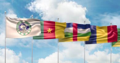L’ACTUALITÉ DES PAYS DE LA CEMAC